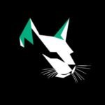 Kittenswap